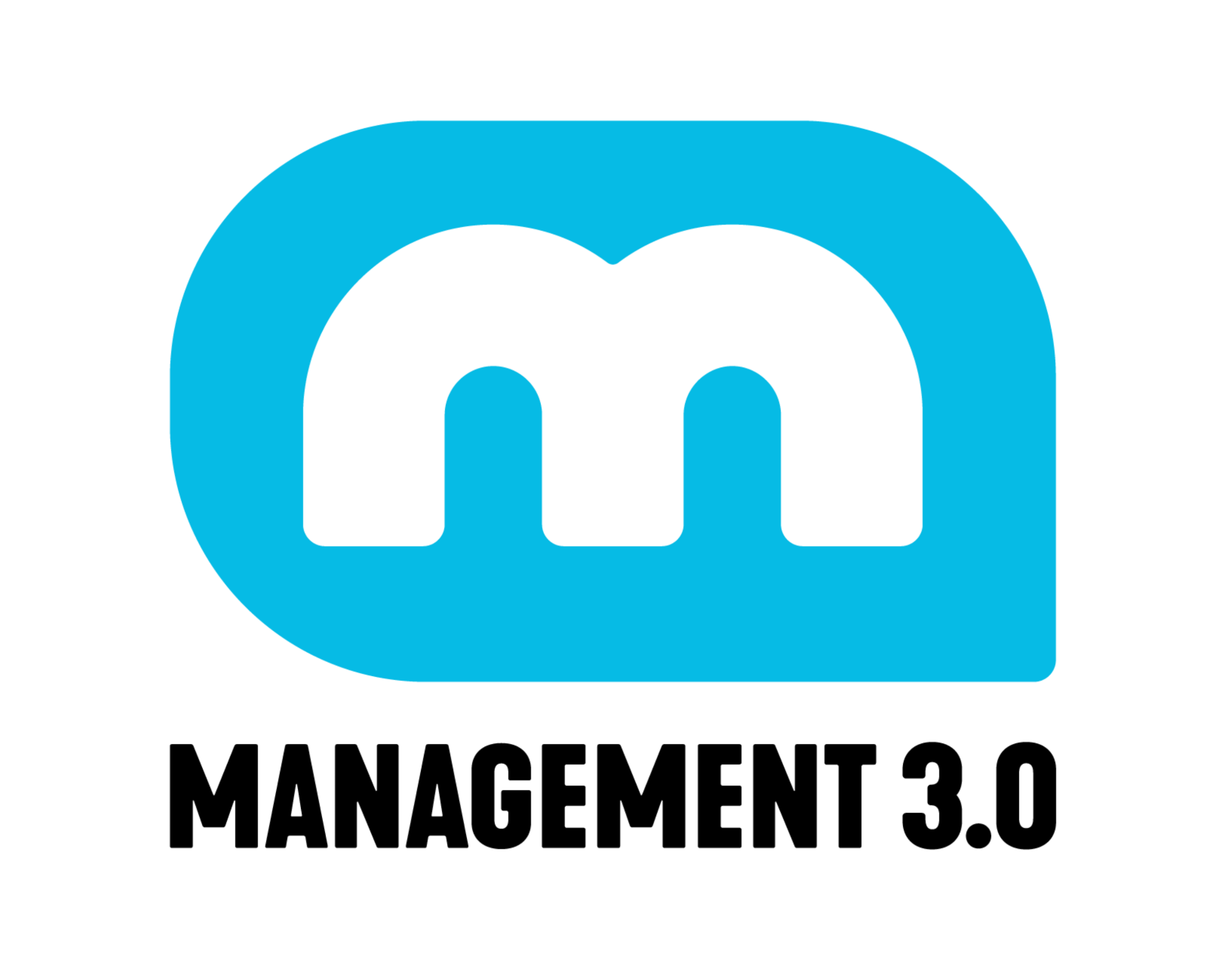 Management 3.0